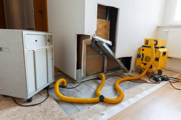 Best Dehumidification Services  in USA